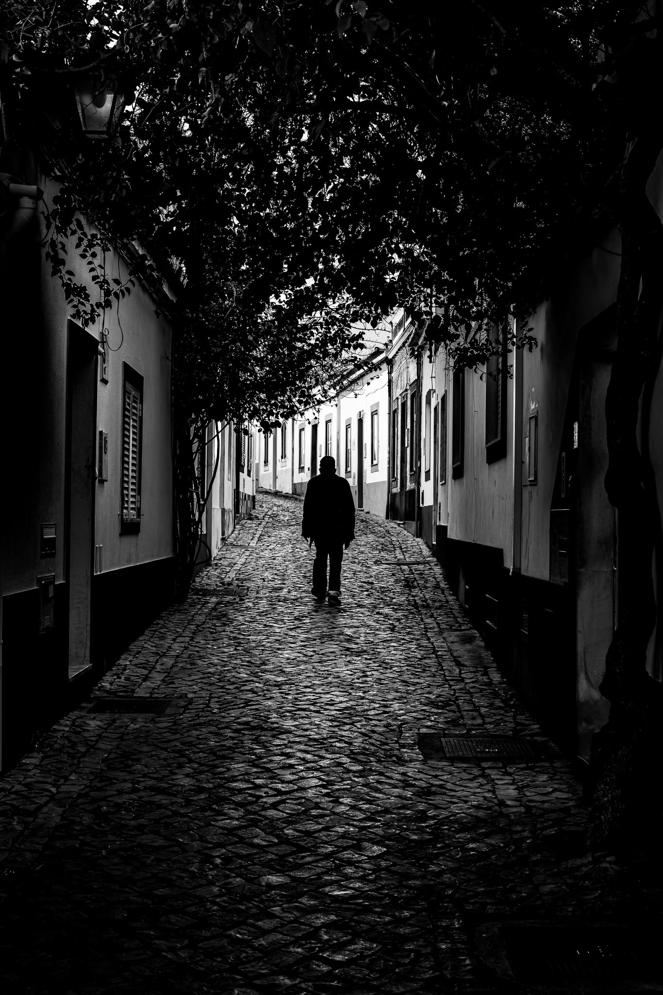 Street Scene, Portugal