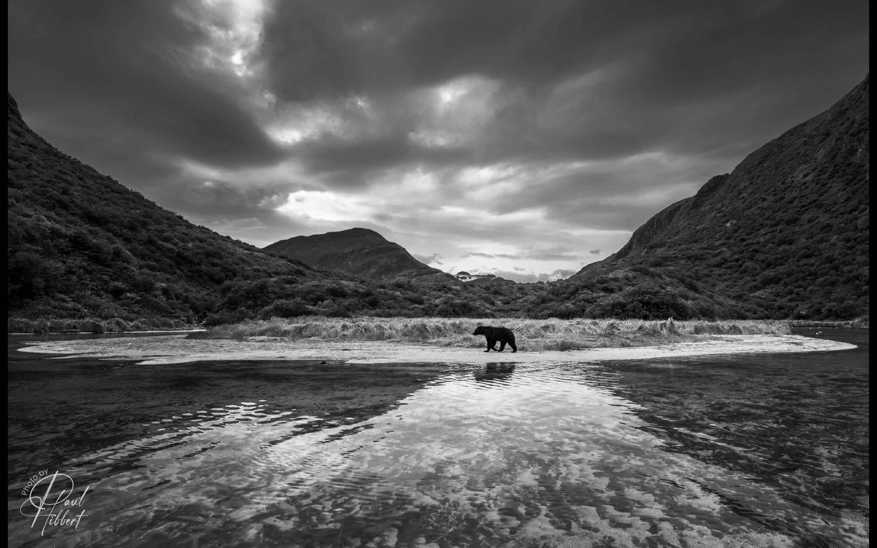 Screenshot%202019 01 30%20at%2010.29.28